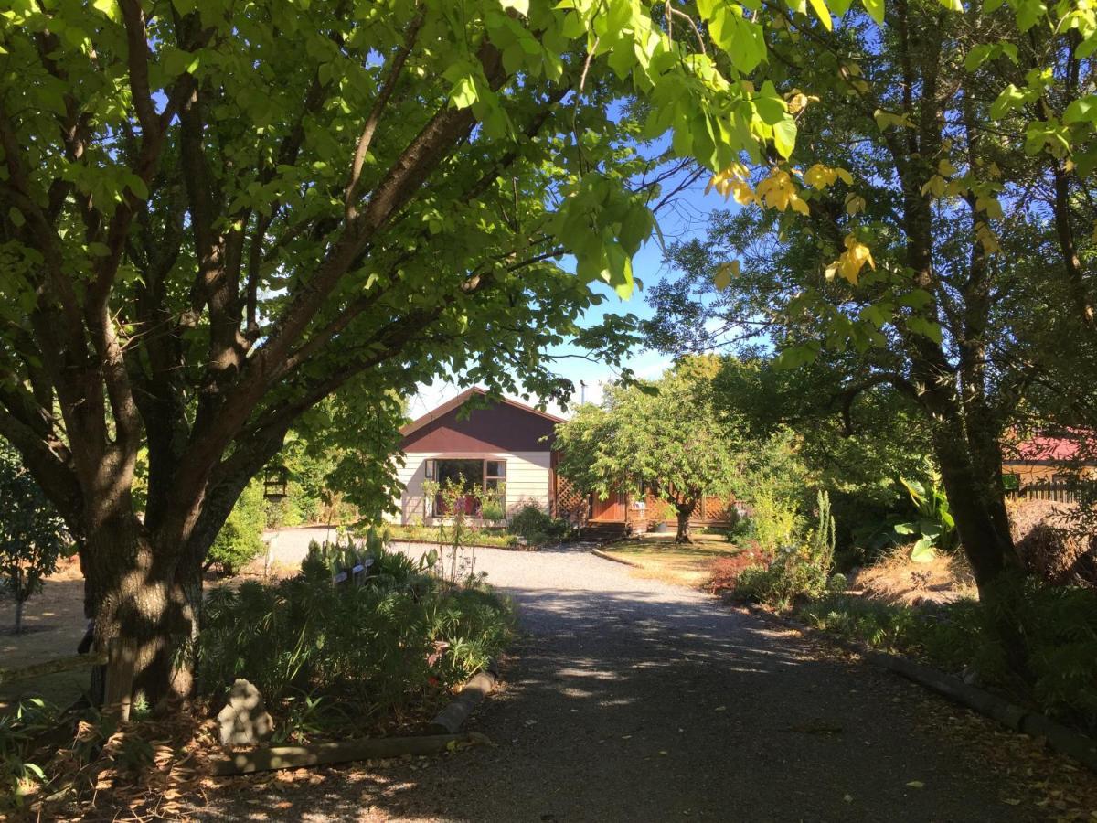 Chris'S Cabin Greytown Zewnętrze zdjęcie